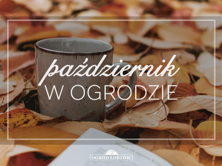 Październik w ogrodzie