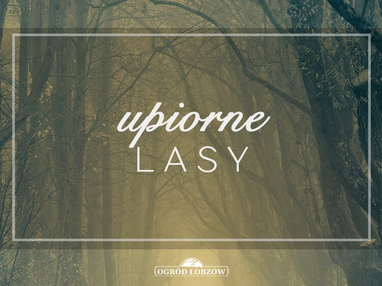 Upiorne lasy