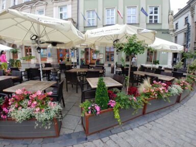 Realizacja aranżacji zieleni w restauracji