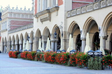 Realizacja aranżacji zieleni w restauracji