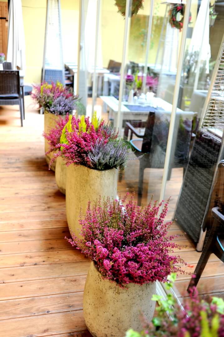 Realizacja aranżacji zieleni w restauracji (13)