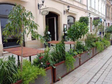 Realizacja aranżacji zieleni w restauracji