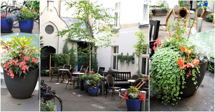 Office Plant Blog_cieniste podworce Kraków cien