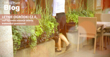 Letnie ogródki krakowa cz.Ii