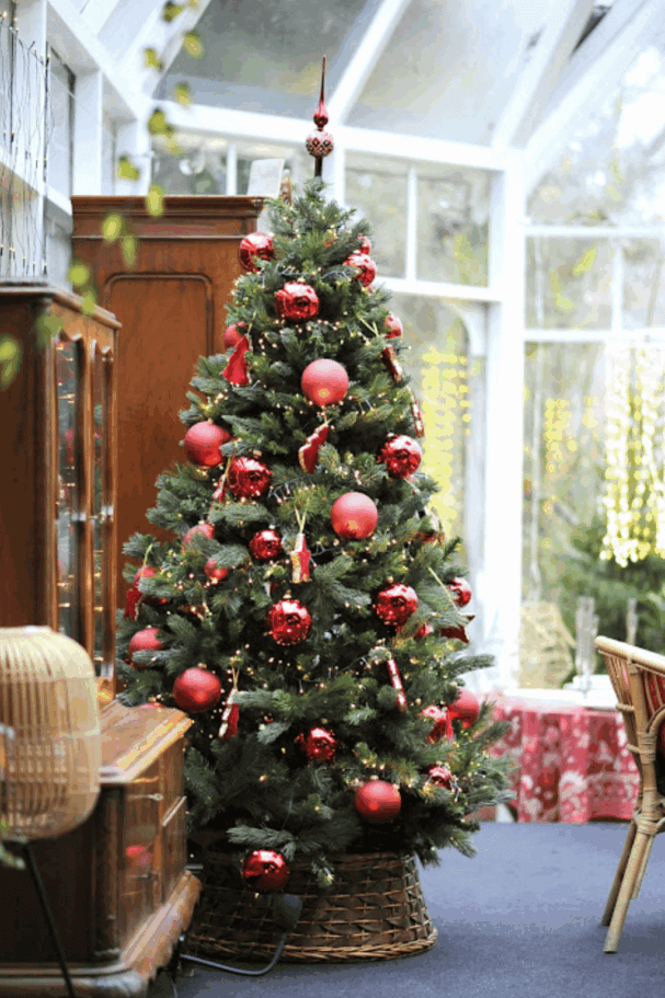 Choinka ubrana w ozdoby świąteczne.