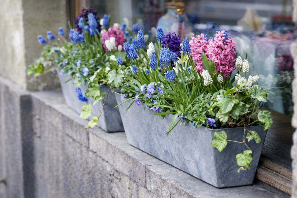 wiosenne kwiaty w skrzynce