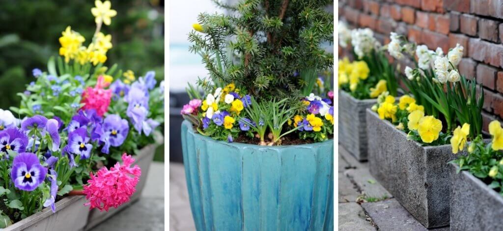 kolaż wiosennych kompozycji kwiatowych