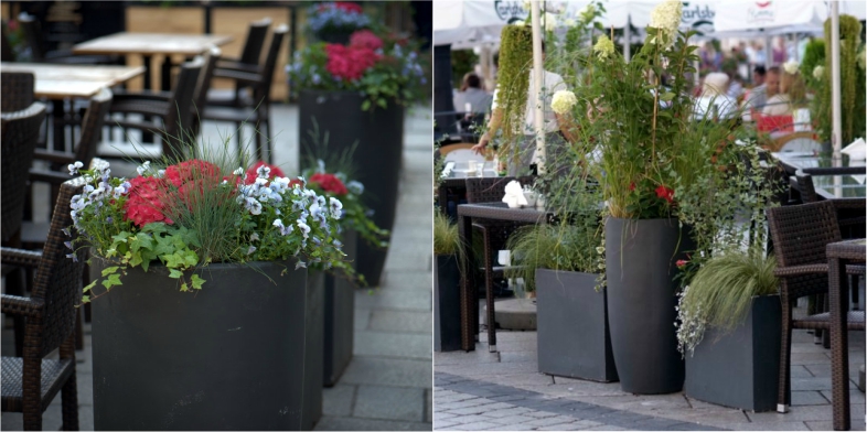 Office Plant Blog_metamorfozy ogródków wiosna lato 2016