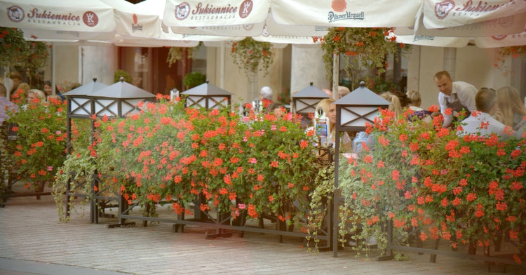 Office Plant Blog_letnie ogródki gastronomiczna Kraków 2016
