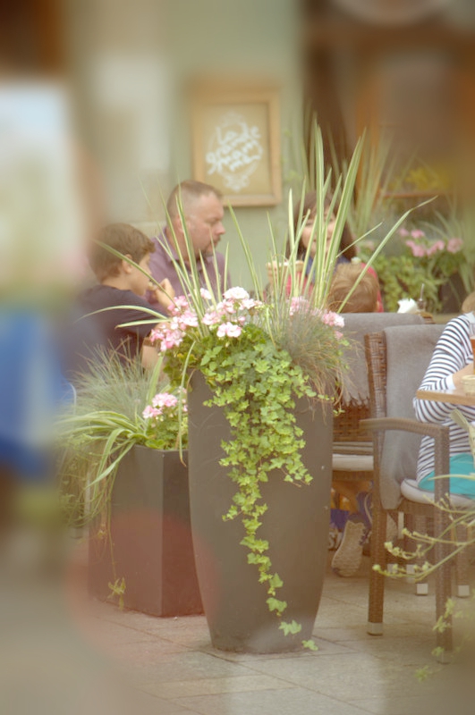 Office Plant Blog_letnie ogródki gastronomiczna Kraków 2016