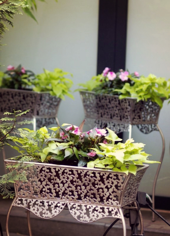 Office Plant Blog_urok detalu.