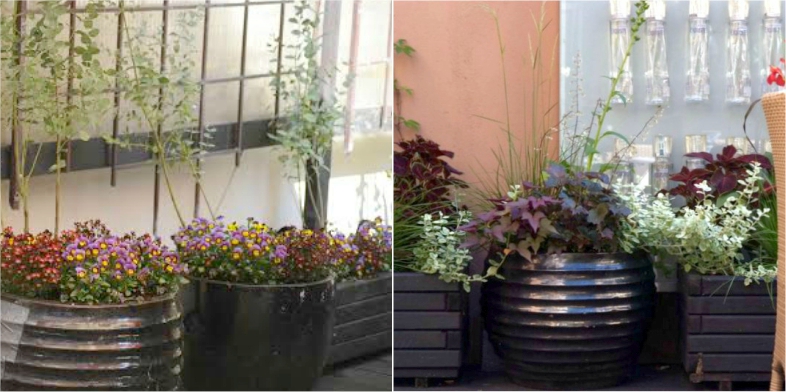 Office Plant Blog_metamorfozy ogródków kraków 3