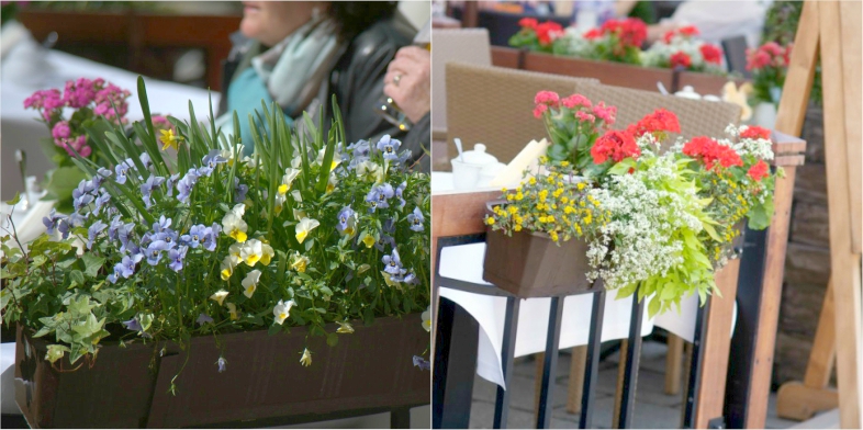 Office Plant Blog_metamorfozy ogródków kraków