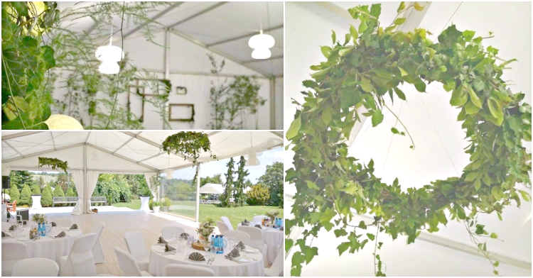 Office Plant Blog_weselny ogród wypożyczalnia roślin Kraków