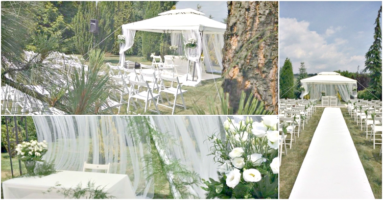 Office Plant Blog_weselny ogród wypożyczalnia roślin Kraków