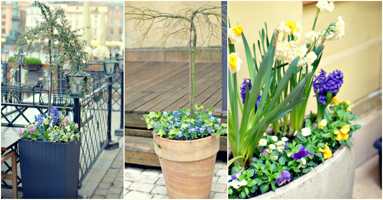 WOffice Plant Blog_wiosenne donice 2017 2