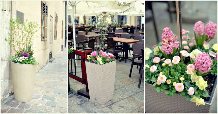 WOffice Plant Blog_wiosenne donice 2017 3